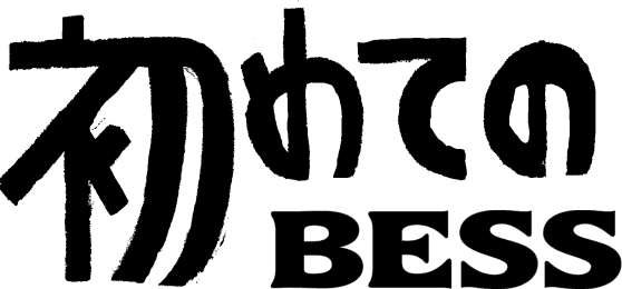 初めてのBESS